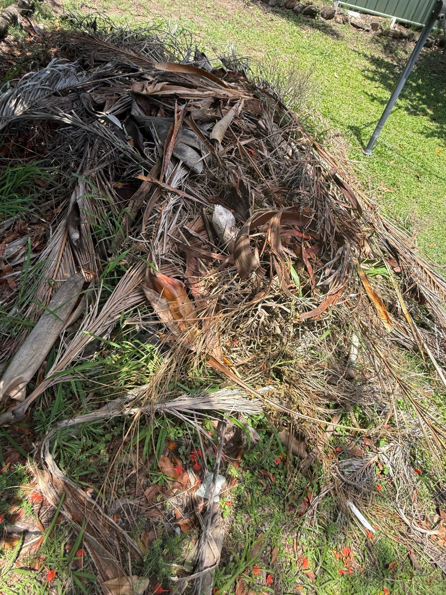 Green waste cleanup after storm